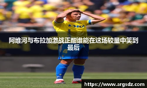 zoty中欧官方网址