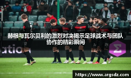 zoty中欧在线